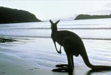 Vivid Outback & Secret Islands